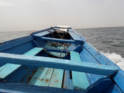 En route vers les Mangroves février 2020