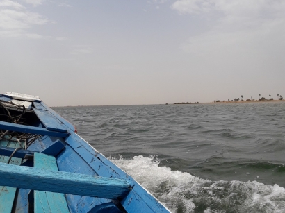 En route vers les Mangroves février 2020