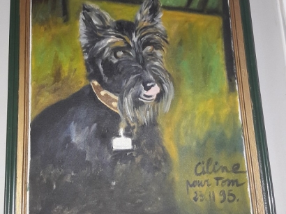 Un portrait de votre animal de compagnie par Ciline? Vous aimez? alors  pour toute commande :  contact@cheikhnico.org 