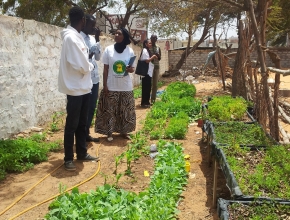 Visite du potager de l'école en présence des responsables et de la Présidente de CheikhNico-Sénégal